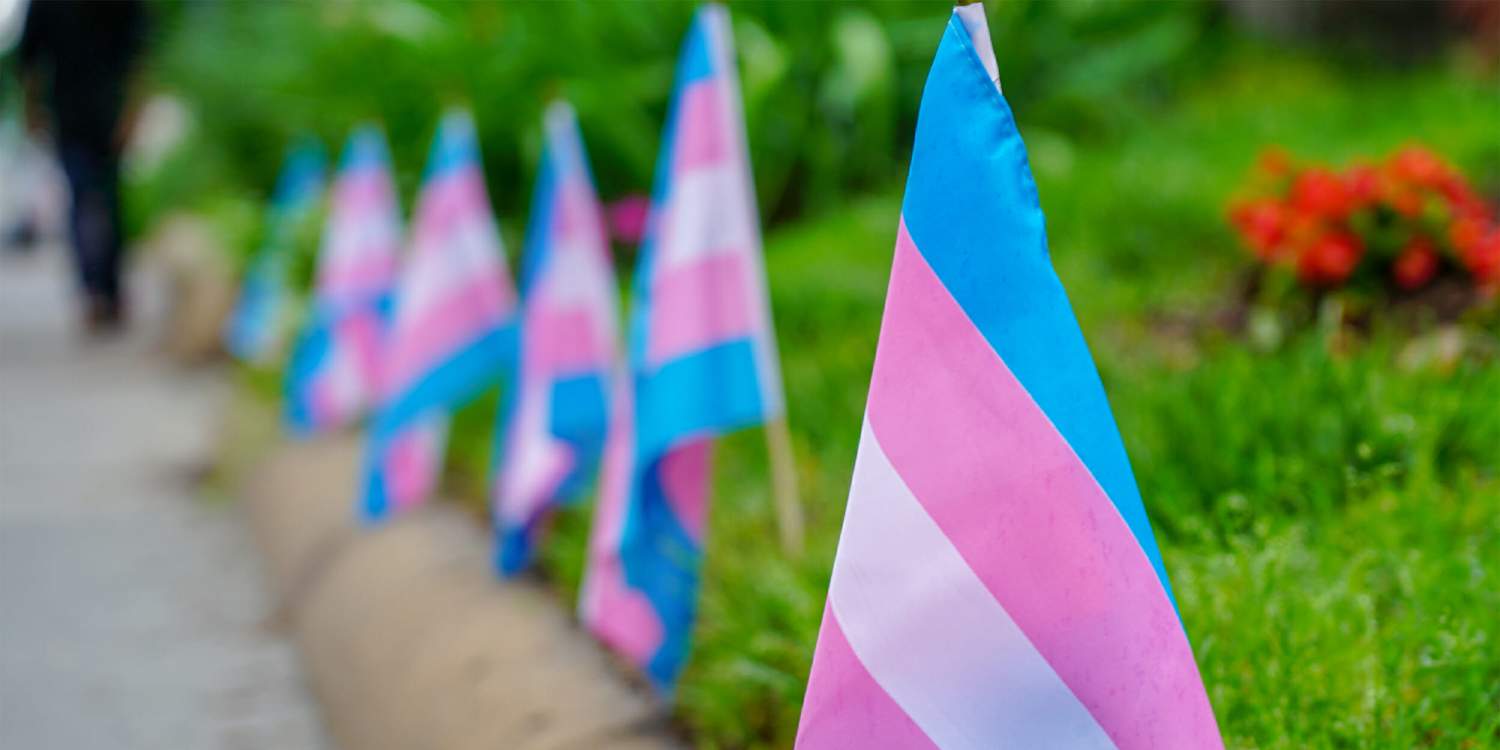 How are trans rights being threatened in the UK?