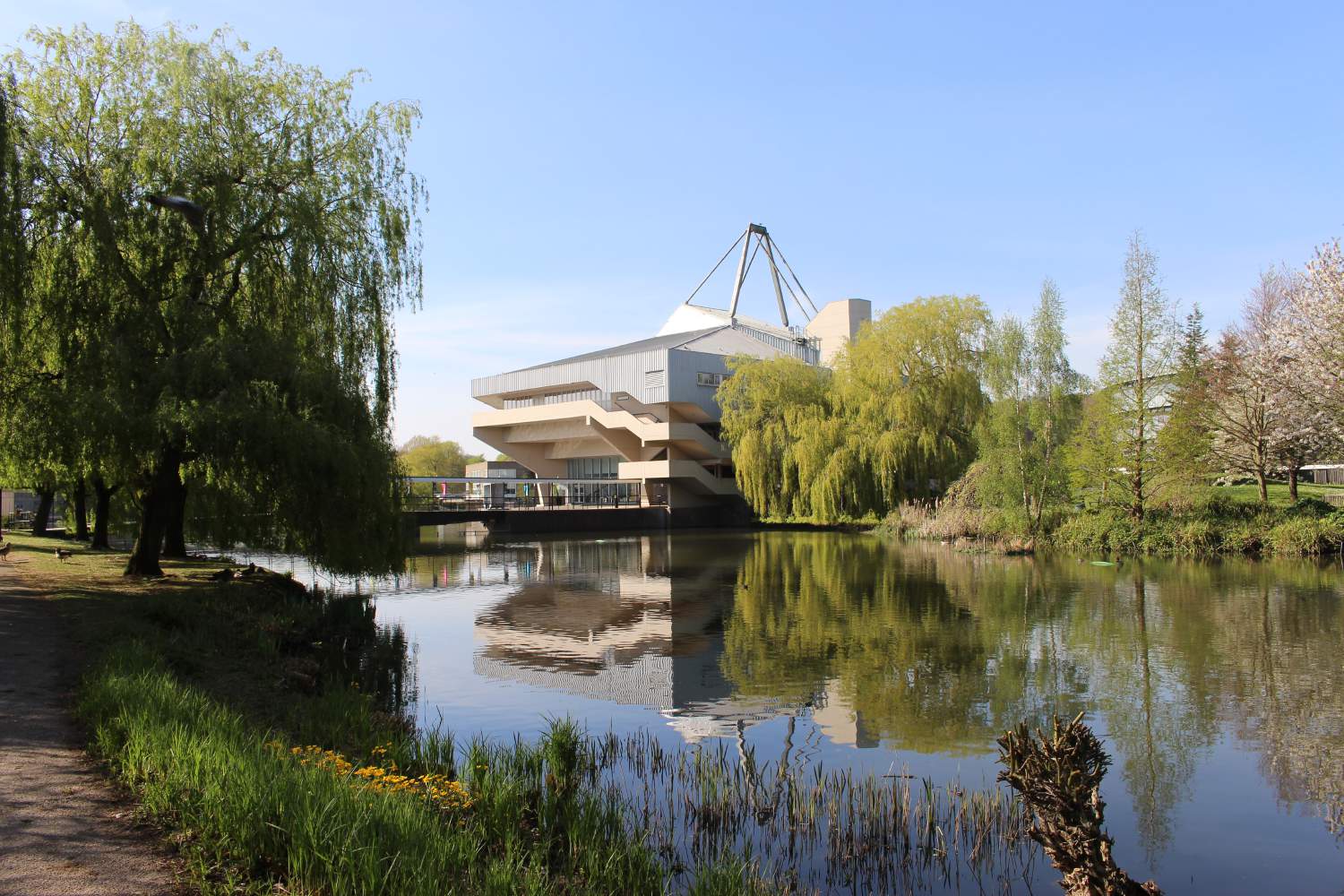 What's happening with Science at the University of York?