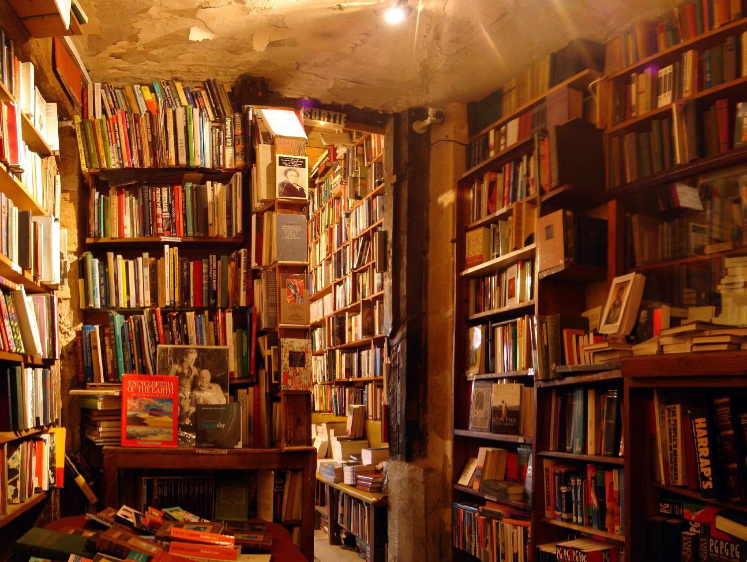 The importance of independent bookstores