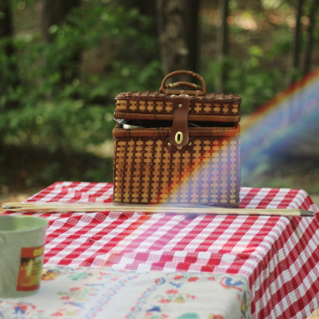 Pack your perfect (socially distanced) picnic