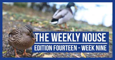 The Weekly Nouse Edition 14